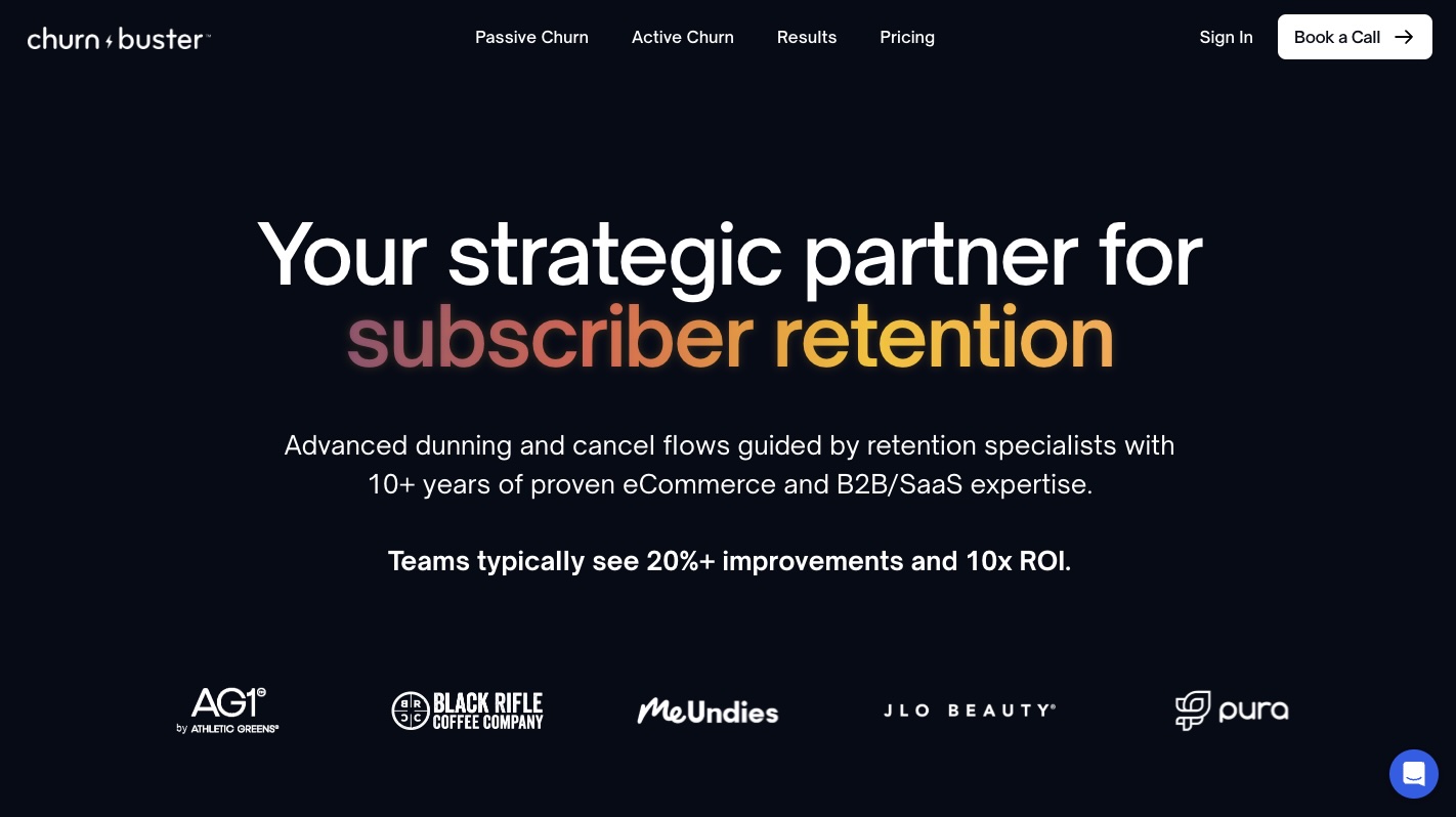 Churn Buster homepage screenshot